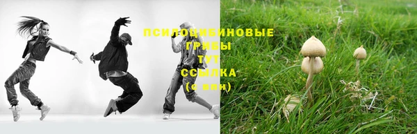 apvp Пролетарск