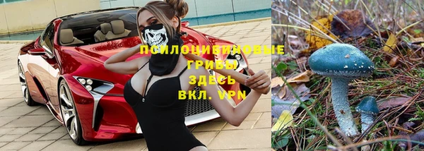 мдма Приозерск