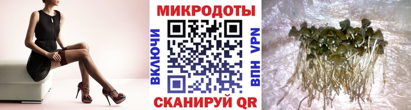 Галлюциногенные грибы GOLDEN TEACHER  Купить закладки  Ильский 